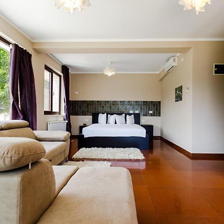 Rex Infinity View 4* Cazanele Dunarii Dubova Zewnętrze zdjęcie