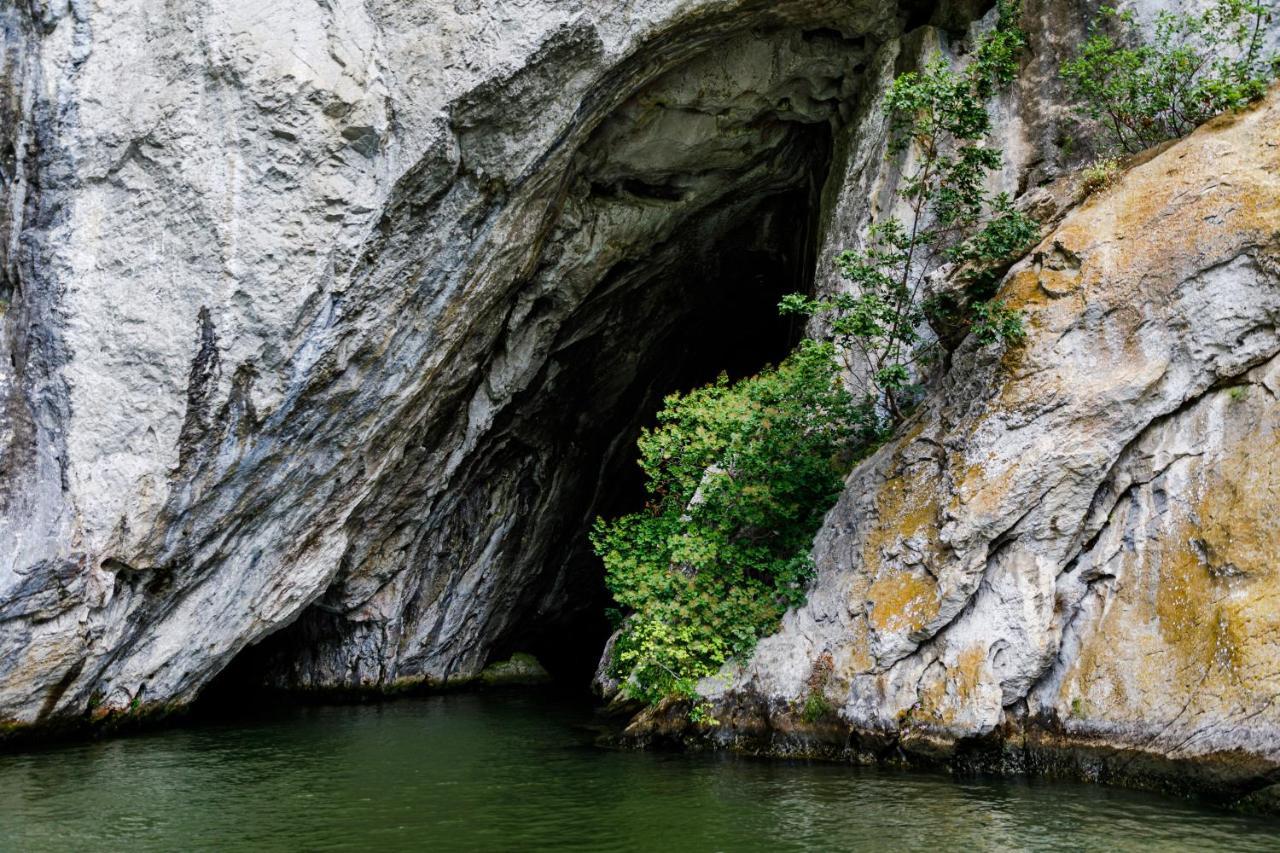 Rex Infinity View 4* Cazanele Dunarii Dubova Zewnętrze zdjęcie